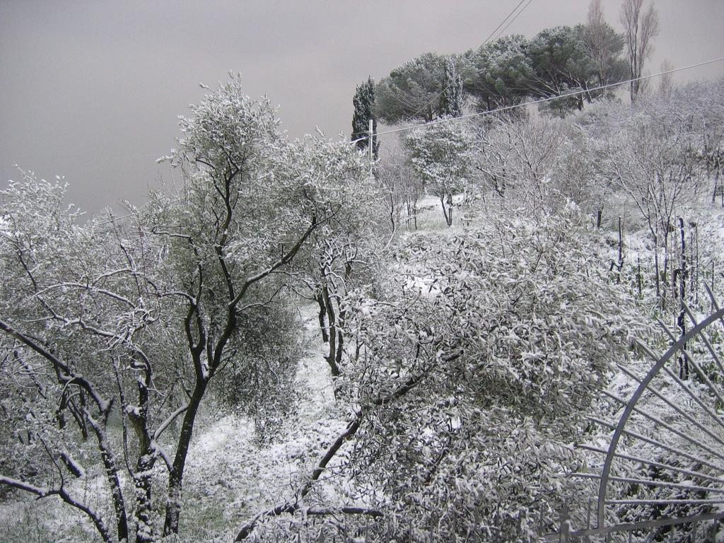 B&B Mare E Monti La Spezia Ruang foto